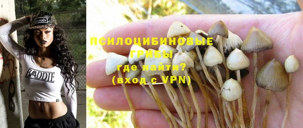 прущий лед Нефтегорск
