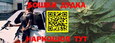 шишки Кингисепп